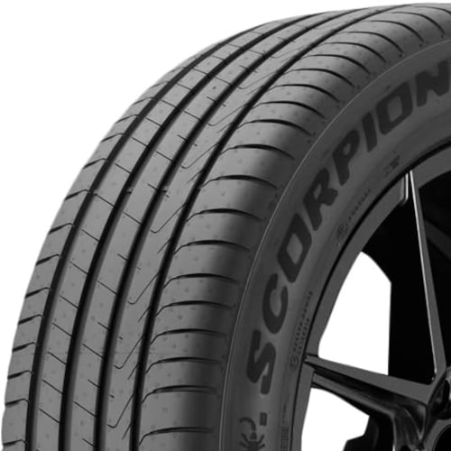 scorpion_white_top scorpion_white_top