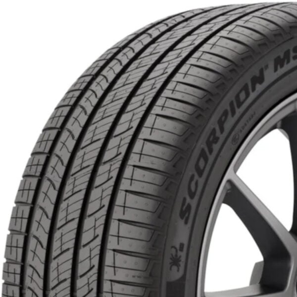 scorpionms_white_top scorpionms_white_top